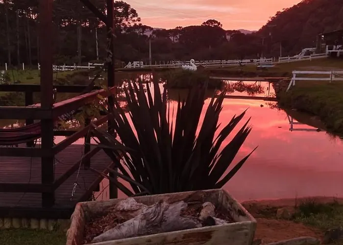 Pousada Nó de PinhoPousada